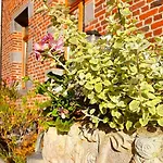 Le Clos De La Belle Loge Location De