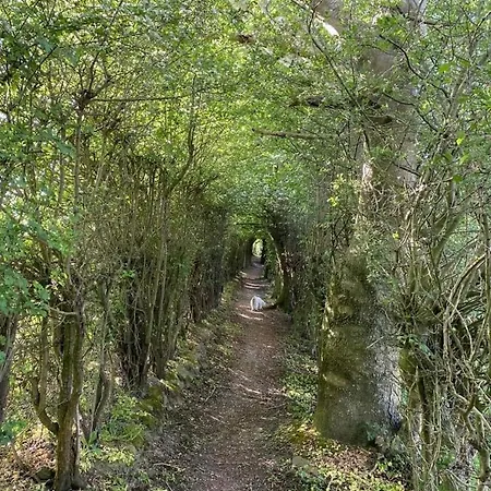 Le Clos De La Belle Loge Location De 3* Frasnoy